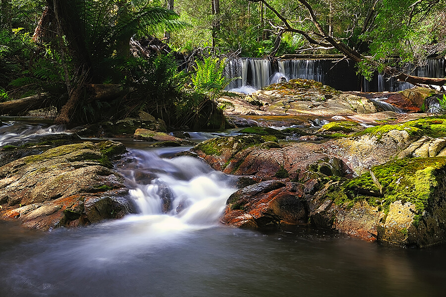 Hobart to Cradle Mountain Drive
