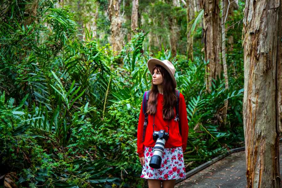 Escape to the Daintree Rainforest Escape to the Daintree Rainforest